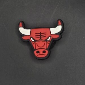 (5/$15) Chicago Bulls Croc Charm